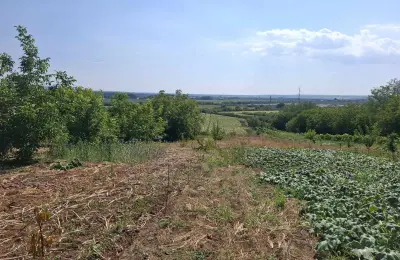 Prodajem vikendicu u Beloj Crkvi