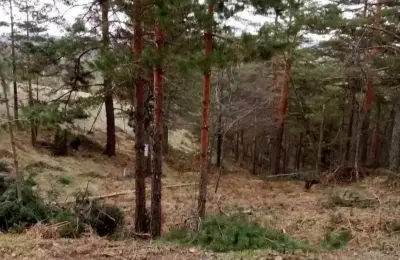 Prodajem plac na Divčibarama