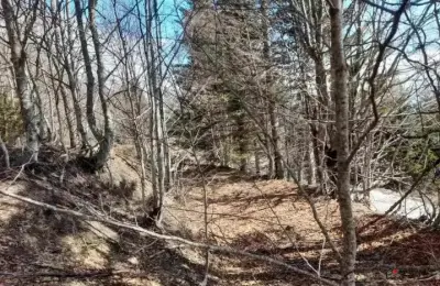 Prodaja parcela na Goliji (gradjevinsko zemljiste sa dozvoljenom gradnjom)
