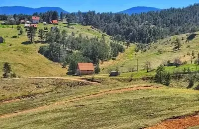 Ekskluzivna prodaja placeva na Zlatiboru
