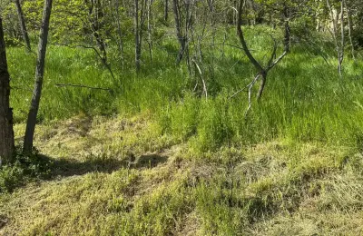 Plac na prodaju u podnožju Vršačkog Brega