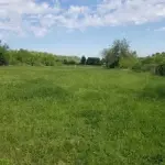 Placevi na prodaju Beočin-Šakotinac