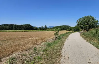 Njiva na prodaju Krćevac kod Topole