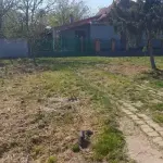 Prodajem kuću u selu Iđoš-Kikinda