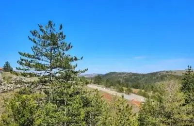 Ekskluzivna prodaja placeva na Zlatiboru