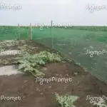Prelepa kuća u Leskovcu