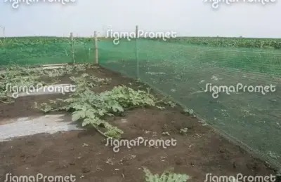 Prelepa kuća u Leskovcu